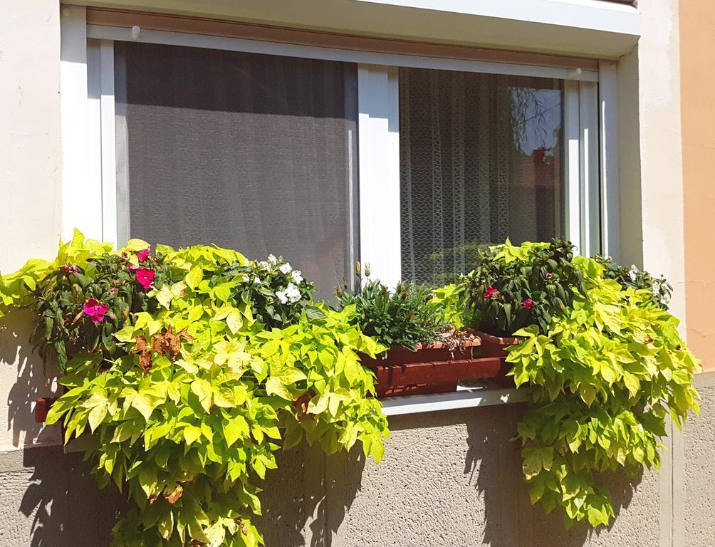 Domboldal Vendeghaz Apartment Noszvaj Exterior foto
